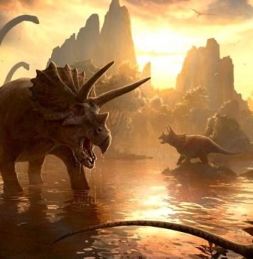 Топ 10 самых больших цератопсов