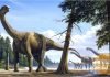Зауропод — крупнейший динозавр