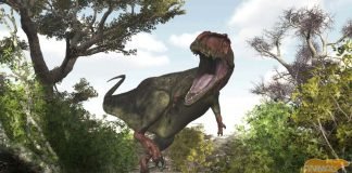 Самый длинный хищный динозавр