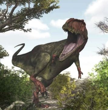 Самый длинный хищный динозавр