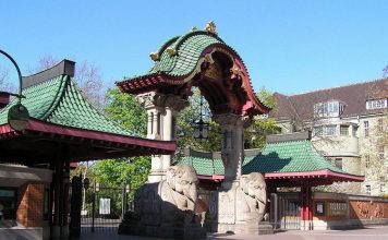 Берлинский зоопарк – рекордсмен по числу животных