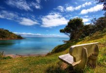 Национальный парк Олимпик – «детище» Теодора Рузвельта