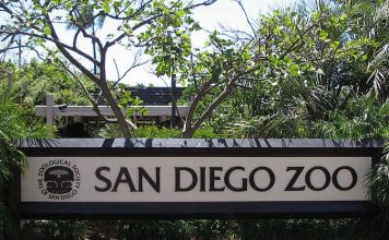 Зоопарк Сан-Диего: «ковчег» для обреченных животных
