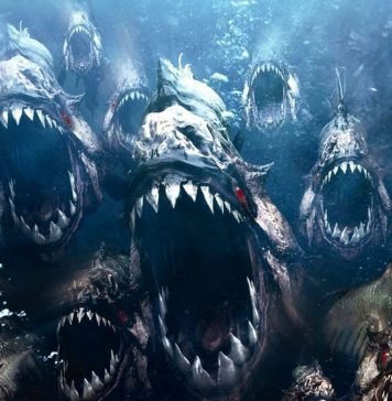 Пираньи — самые хищные рыбы