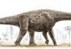 Редкий динозавр Аргентинозавр