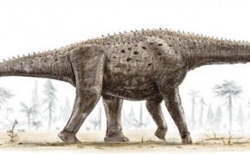 Редкий динозавр Аргентинозавр