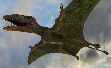 Диморфодон