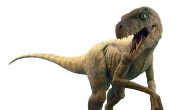 Динозавр велоцираптор