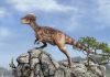 Пахицефалозавр (Pachycephalosaurus)