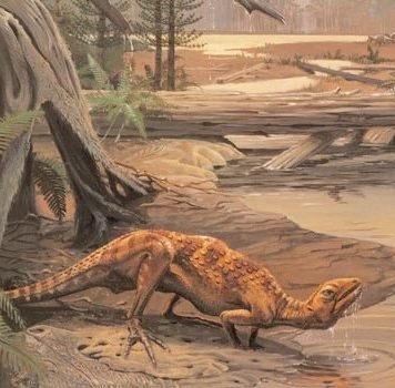 Скутеллозавр