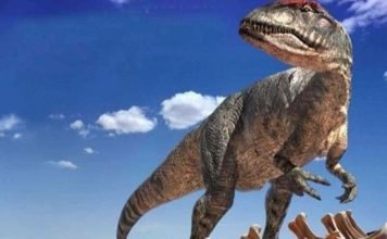 Аллозауриды. Аллазавр