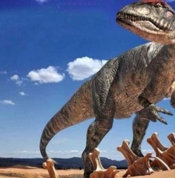 Аллозауриды. Аллазавр