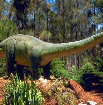 Бронтозавры (апатозавры)