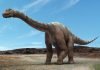 Динозавр: Аргентинозавр