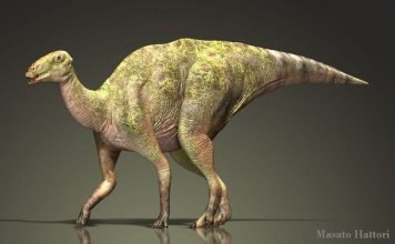 Гадрозавры, траходонты