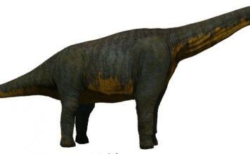 Титанозавры: Паралититан