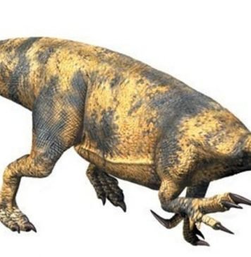 Платеозавры