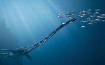 Плезиозавры: Талассомедон