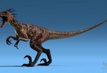 Ютарапторы