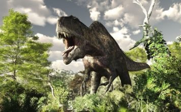 Акрокантозавр