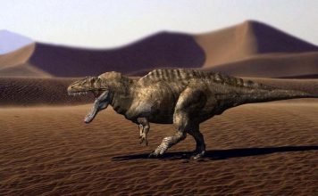 Акрокантозавр