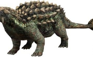 Панцирные динозавры: Анкилозавр и Нодоцефалозавр