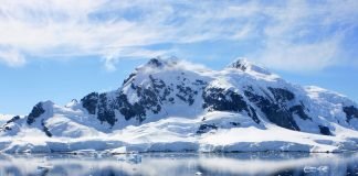 Животный мир Антарктики