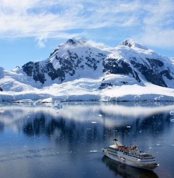 Животный мир Антарктики