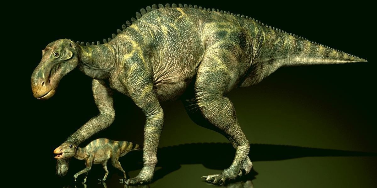 Майазавр (лат. Maiasaura)