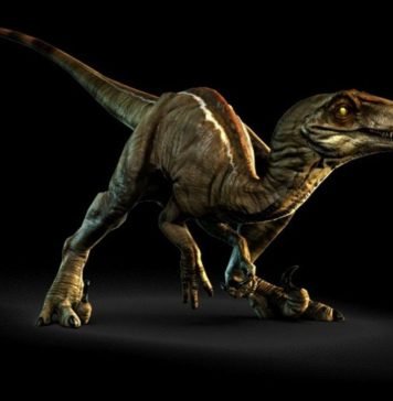 Велоцираптор