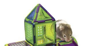 Жилище для хомяка: каким оно должно быть?