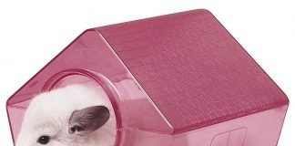 Как правильно обустроить дом для шиншиллы?