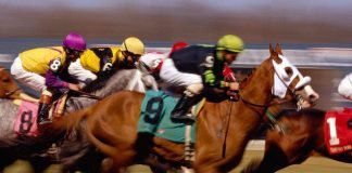 Лошадиный допинг: всё ради победы