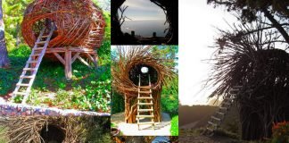 Стать птицей благодаря «отелям» Джейсона Фэнна