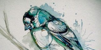 Птицы акварелью от Эбби Даймонд: воздушные фантазии пера!