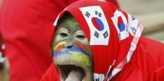 Смешные обезьяны: фото, поднимающие настроение