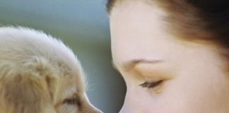 Зачем детям домашние животные?