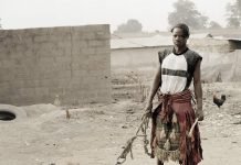 Необычные питомцы африканцев