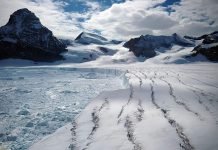 Арктический заповедник: красоте не страшны холода!