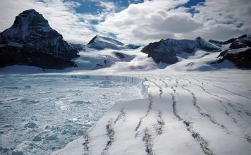 Арктический заповедник: красоте не страшны холода!