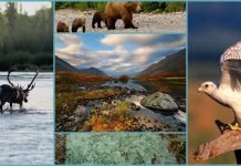 Лапландский заповедник: «сияющее владение ледника»