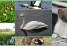 Дарвинский заповедник – коллекция редких экземпляров