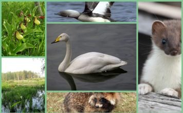 Дарвинский заповедник – коллекция редких экземпляров