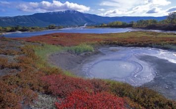 Кроноцкий заповедник – обитель Долины Гейзеров