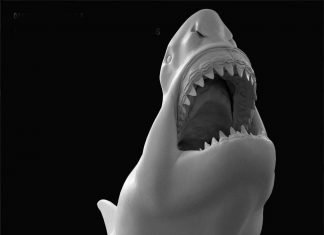 Палеокархариас – древняя акула