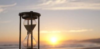 От чего зависит продолжительность жизни животных?