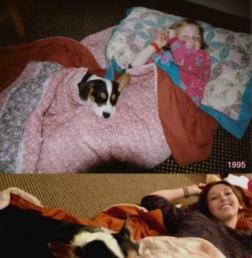 Вместе много лет: фотографии животных и их хозяев