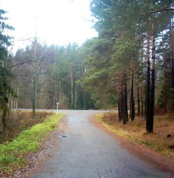 Березинский заповедник: белорусская природа во всей красе