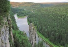 Животный мир Урала