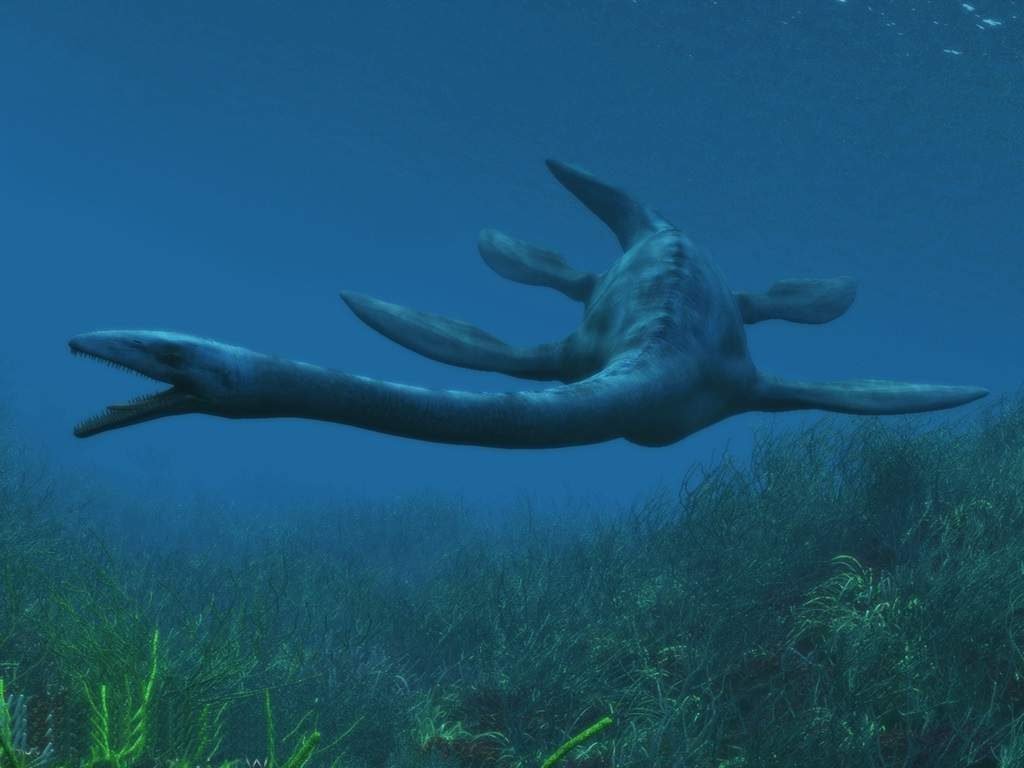 Эласмозавр (Elasmosaurus).